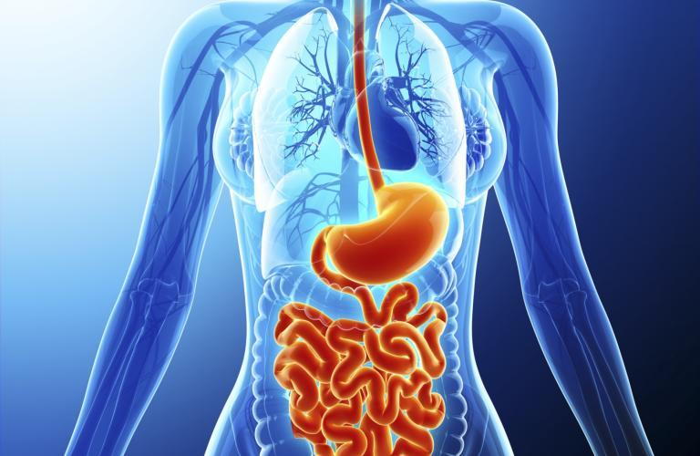 Gastroenterologist In Parbhani