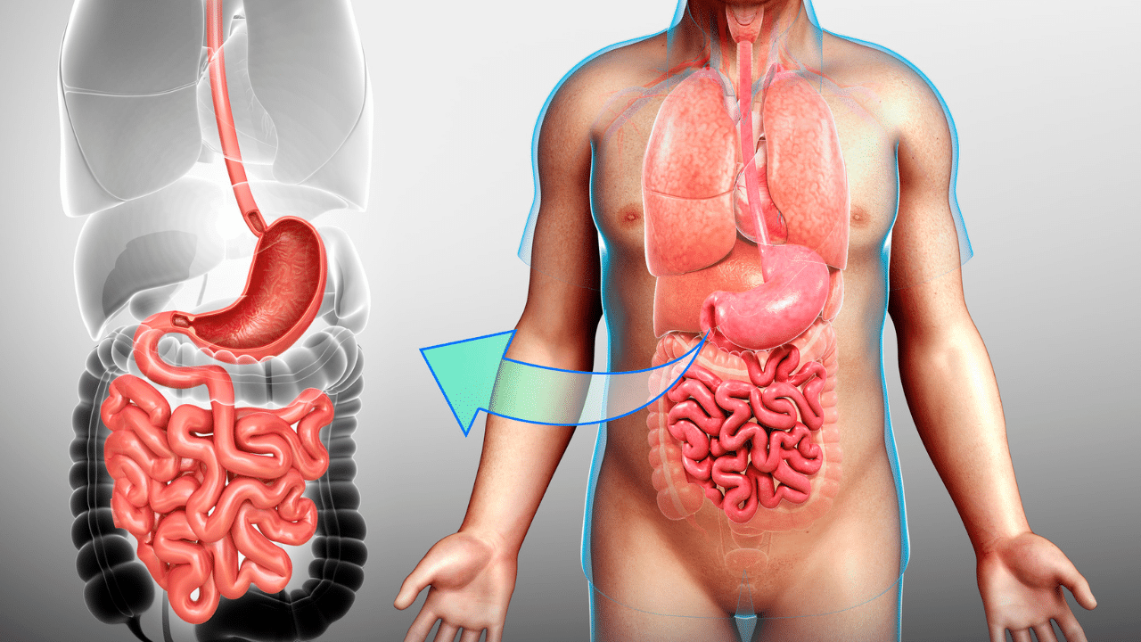 Stomach Specialist In Nanded